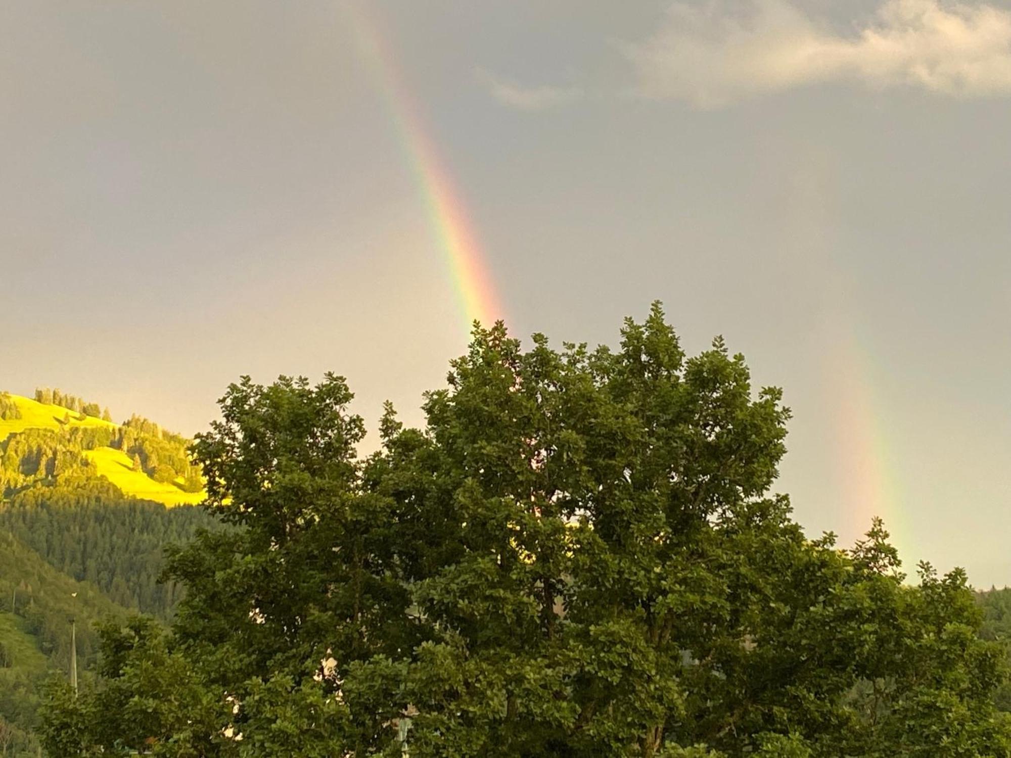 Ferienwohnung Schoenblick Schönau im Schwarzwald Exteriér fotografie